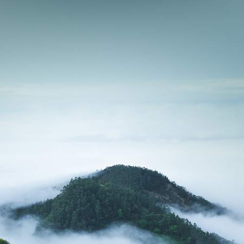 FOG