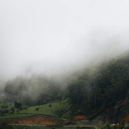 Photo #9314837