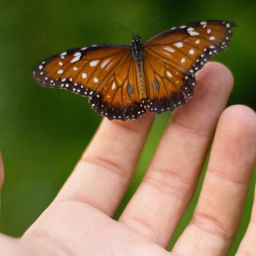 Photo #9314853