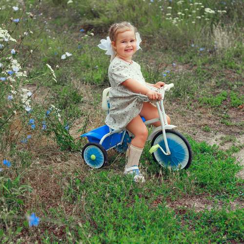 Photo #9315039