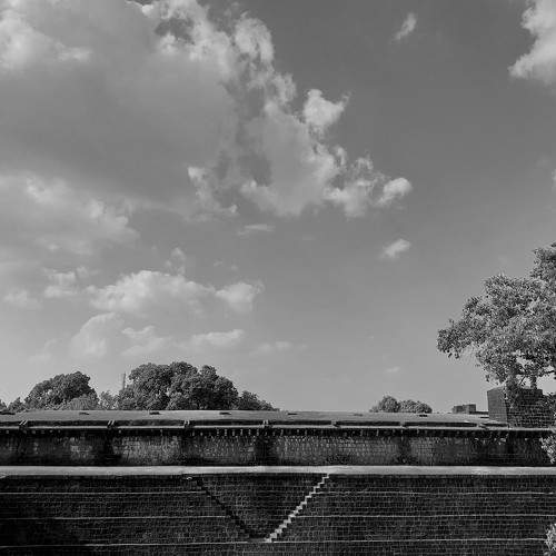 Photo #9315119