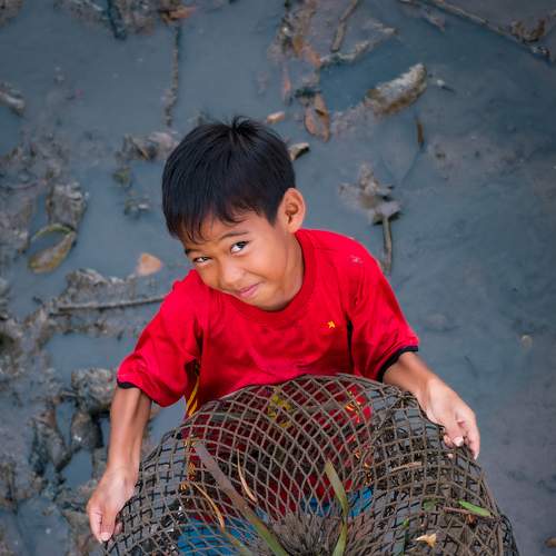 Photo #9315663