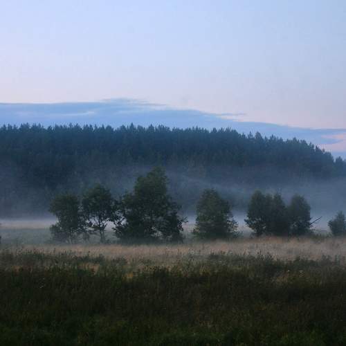 Photo #9316135