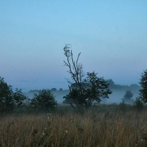 Photo #9316156