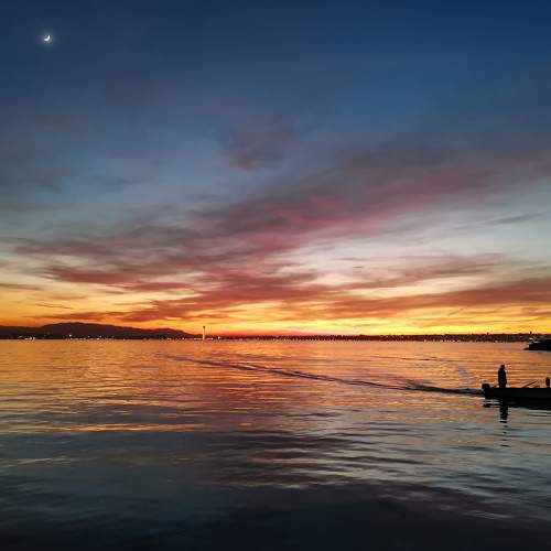 Photo #9316215