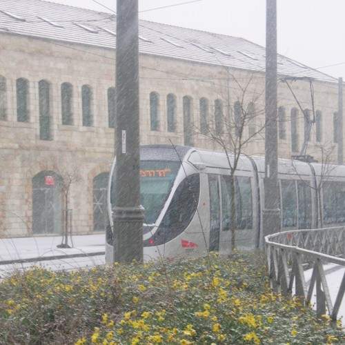 Photo #9316968