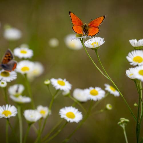 Photo #9317814