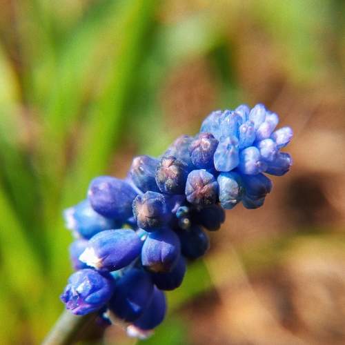 Photo #9318402