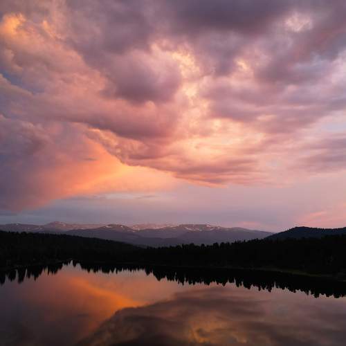 Photo #9318840