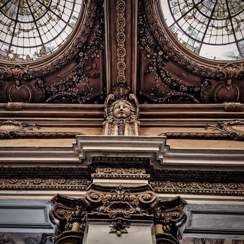 Photo #9318954