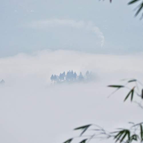 Photo #9319227