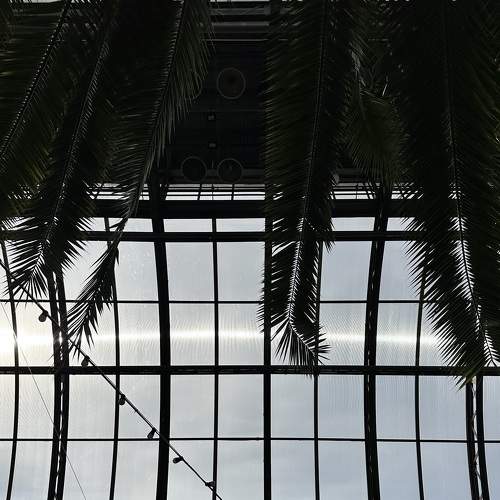 Photo #9319351