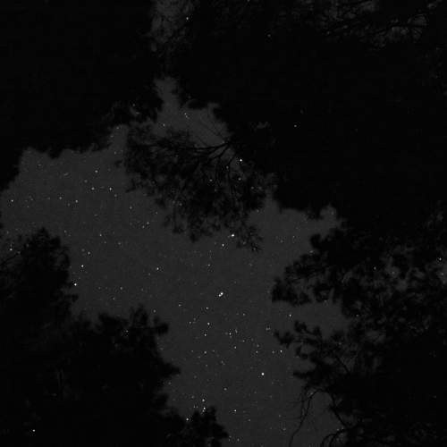 Photo #9319363