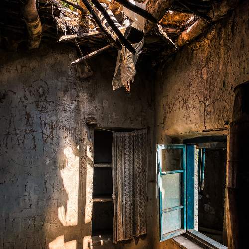 Photo #9320021