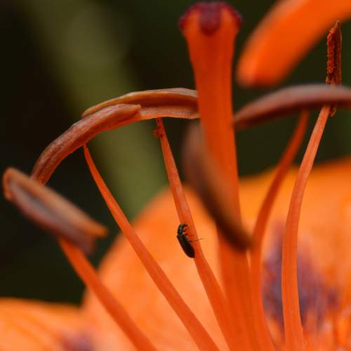 Photo #9320038