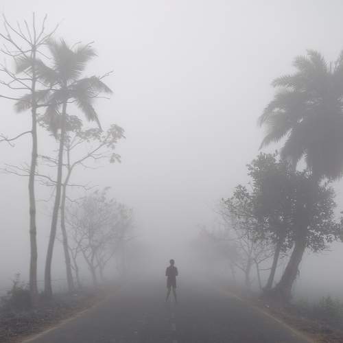 Photo #9320077