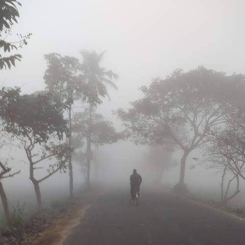 Photo #9320078