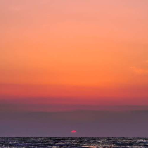 Photo #9320231