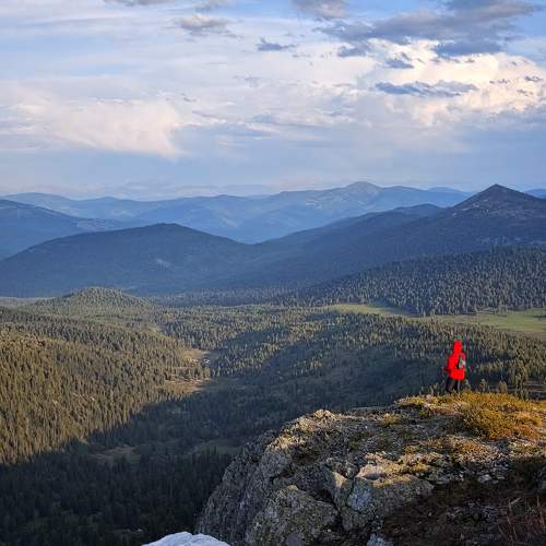 Photo #9320402