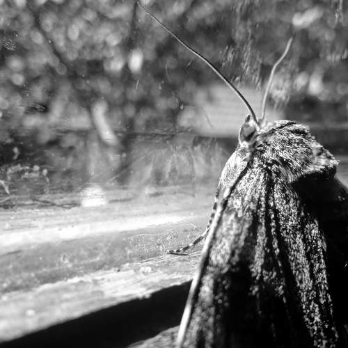 Photo #9320644