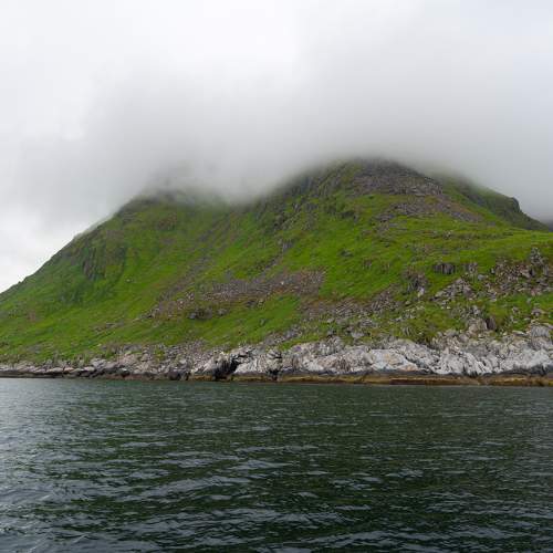 Photo #9320668