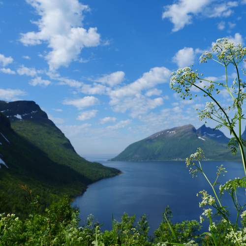Photo #9320679