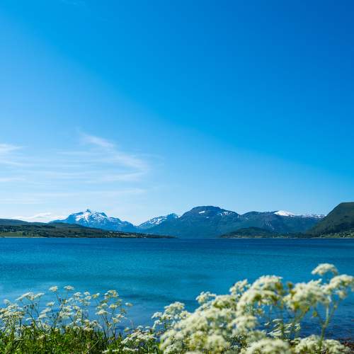 Photo #9320680