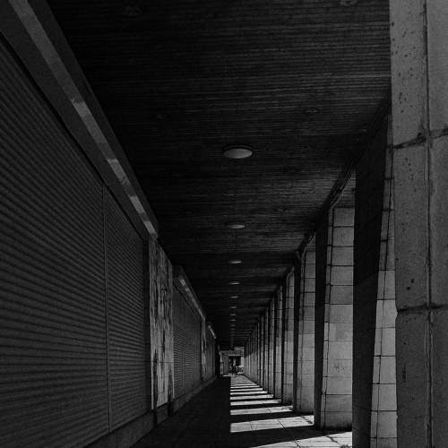 Photo #9320731