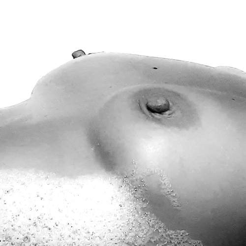 Photo #9320813