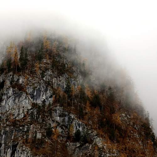 Photo #9321269