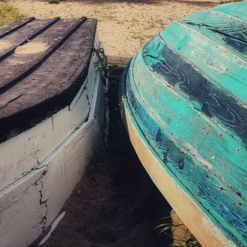 Photo #9321548