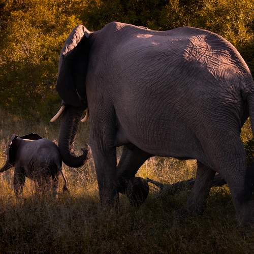Photo #9321621