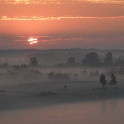 Photo #9321880
