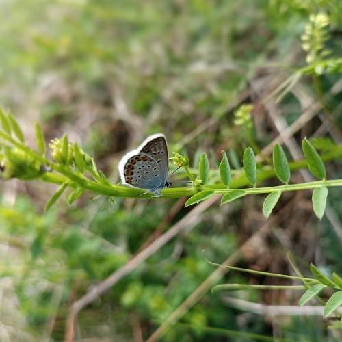 Photo #9322298