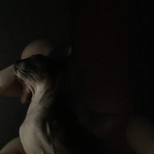 Photo #9322325