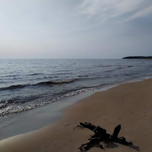 Photo #9322366