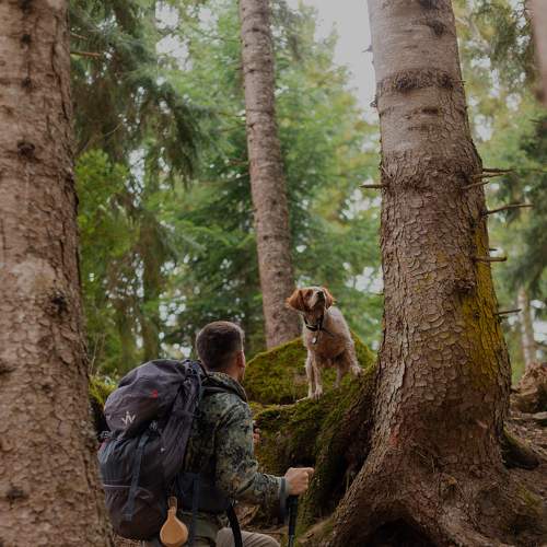 Photo #9322745