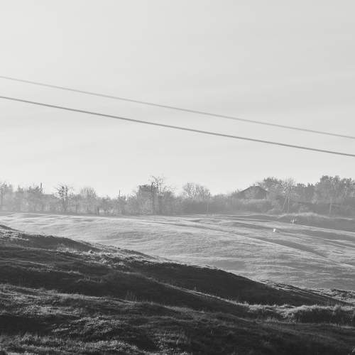 Photo #9323454