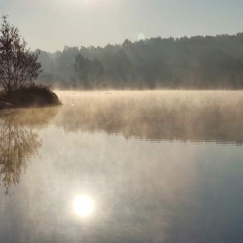 Photo #9323755