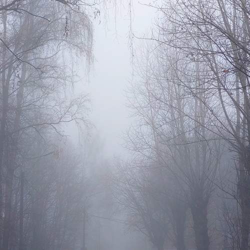 Photo #9323756