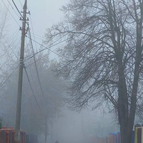 Photo #9323757