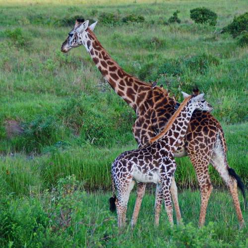 Photo #9323763