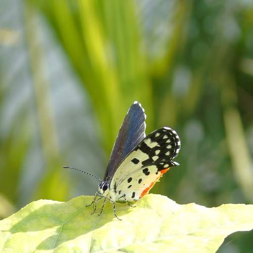 Photo #9324115