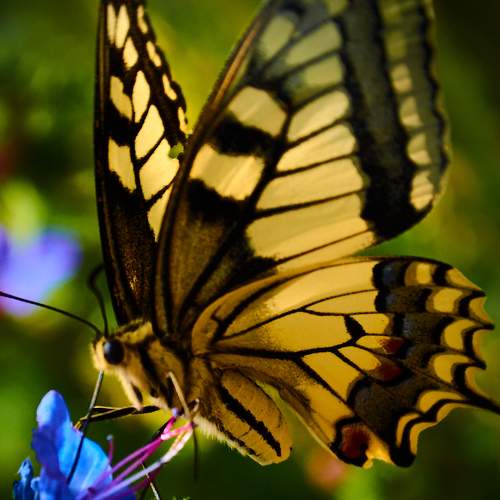 Photo #9324313