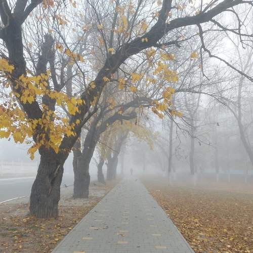 Photo #9324382