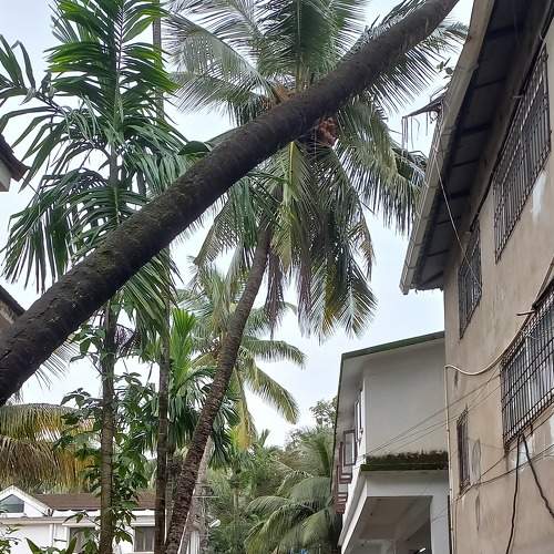 Photo #9324824