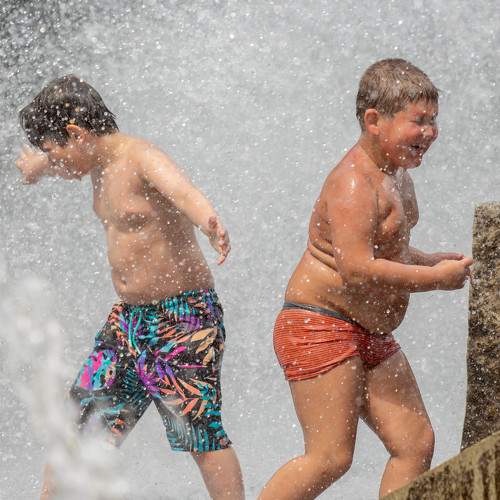 Photo #9325014