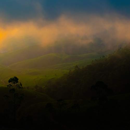 Photo #9325136