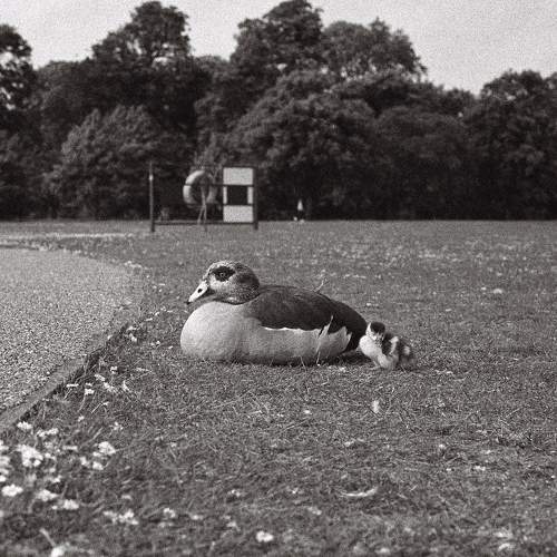 Photo #9325366