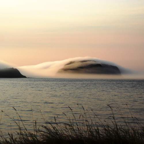 Fox Island Fog